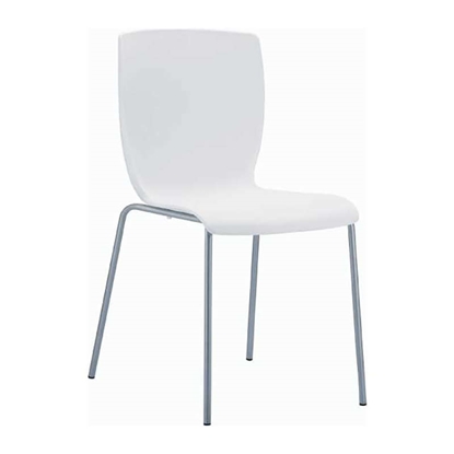 Picture of MIO WHITE PAINT CHAIR