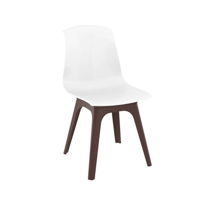 Picture of ALLEGRA ΡΡ BROWN/GLOSSY WHITE(4pcs/ctn) CHAIR