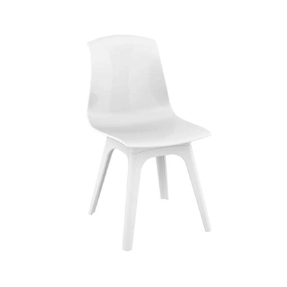 Picture of ALLEGRA ΡΡ WHITE/GLOSSY WHITE(Σ4)KAPEKΛΑ