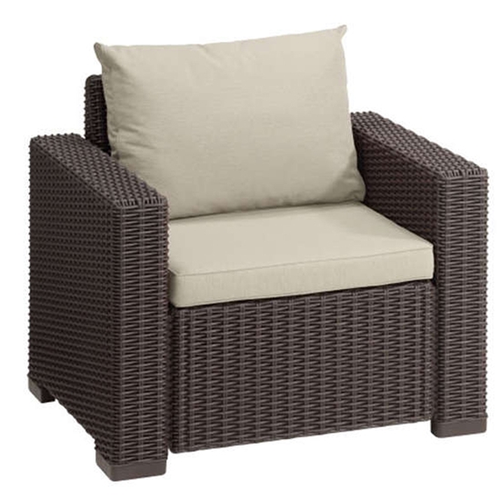 Picture of CALIFORNIA BROWN(2pcs/ctn)ARMCHAIR WITH CUSHION