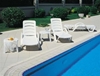 Picture of HAVANA WHITE SUNLOUNGER