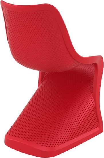 Εικόνα από BLOOM RED(Σ4)ΚΑΡΕΚΛΑ ΠΟΛ/ΝΙΟΥ